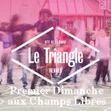 Le Premier dimanche aux Champs-libres du Triangle à Rennes